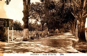 N'Gaous - Route de Barika